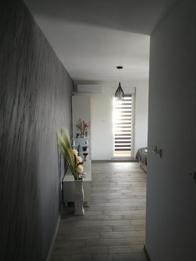 Appartamento Danica Sremska Mitrovica Esterno foto